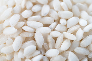Uncooked arborio rice