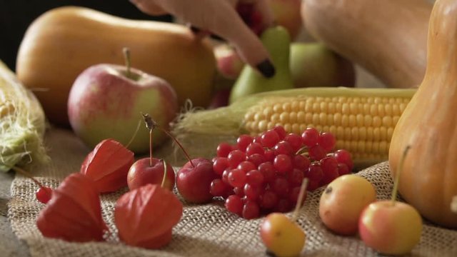 Autumn vegetables, berries and fruits. Seasonal autumn food - pumpkins, corn, apples, pear, viburnum, physalis. Slow motion.