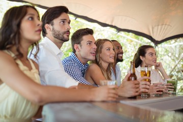 Friends watching football match at counter