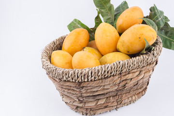Plum mango with isolated white background