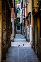 streets of Venice - view of the beautiful venetian streets