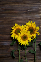 Autumn background with sunflowers