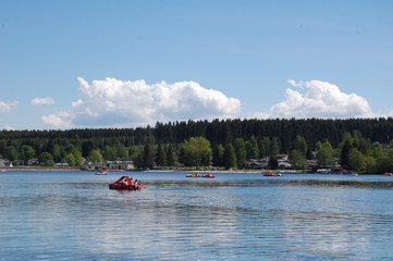 Sommer am See im Erzgebirge