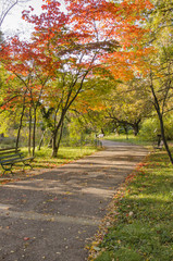 Autumn landscape in a park