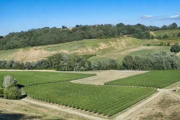 Landscape between Imola and Riolo Terme (Emilia Romagna)