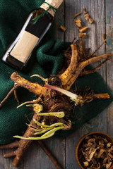 Medicinal root elecampane