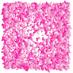 Multicolored pink, purple flying butterflies on a white background. Isolated object. Vector butterflies background design. Colorfull EPS 10 concept. Holiday, children's backdrop