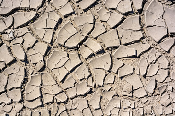 Cracked dry land in a desert