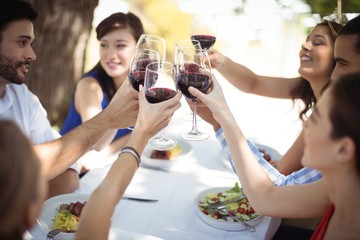 Group of friends toasting champagne glasses