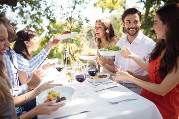 Group of friends having lunch