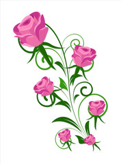 Valentine Roses Vector