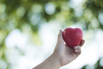 hand holding heart on green soft nature and bokeh background