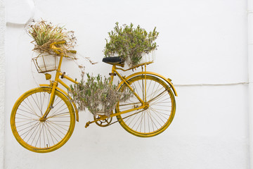 Fototapeta na wymiar painted old bicycle decoration