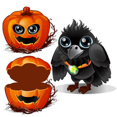 Fototapeta premium Raven and box of pumpkins. Halloween characters. Bird wears pendant with emerald stone and gourd carved with terrible face. Vector illustration in cartoon style isolated on a white background