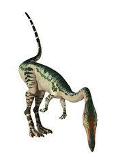 3D Rendering Dinosaur Coelophysis on White