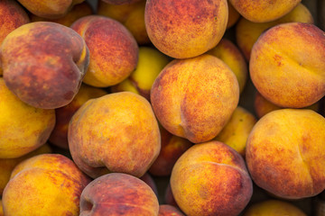 Close up of mature peaches. Fresh fruit from the garden without nitrates. Concept farming.