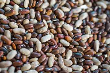 Close up of mature beans. Fresh fruit from the garden without nitrates. Concept farming.