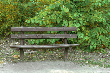 Wooden bench in the forest with green leaf background