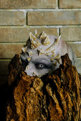Tree spirit and fantasy concept