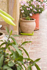exterior decoration of flowers and pots in greek style