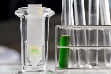 Study of Chromatography is used to separate components of a plant.
