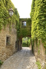 Ivy on narrow alley in  Peratallada, Girona, Spain