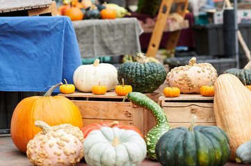 Organic pumpkins with people on farmer's market