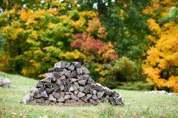 Pile of wood logs on grass in autumn
