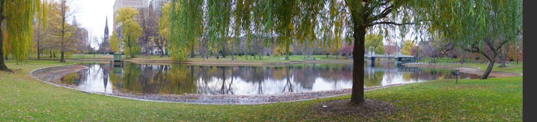panorama of a pond