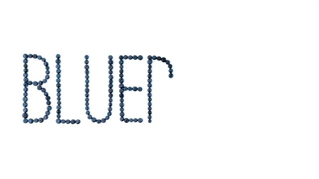 Blueberry font. Blueberries on white background. Bilberry fruit letters. 4K