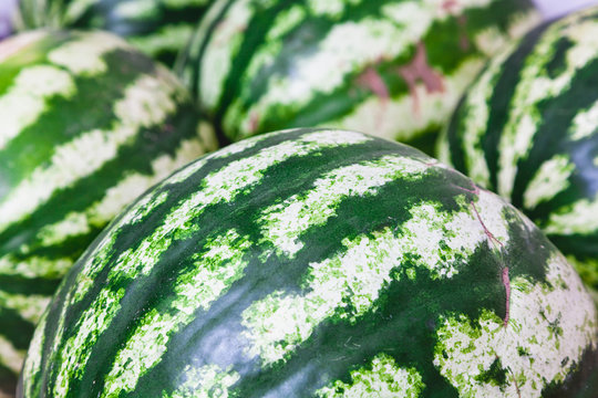 Striped watermelons close-up