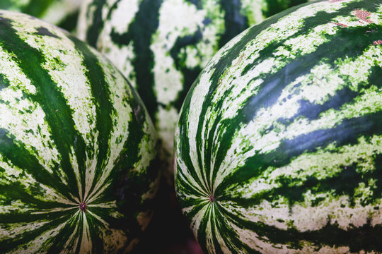 Striped watermelons close-up