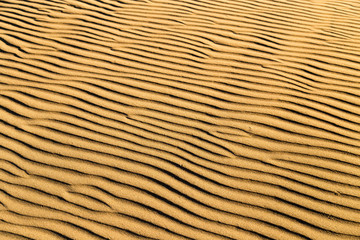 Sand in the desert as a background