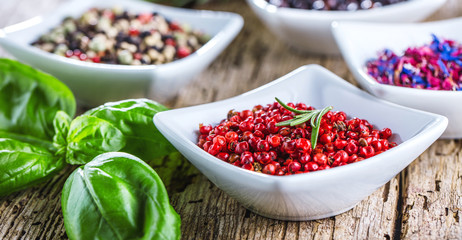 Frische Gewürze für feine Küche 