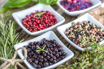 Frische Gewürze für feine Küche 
