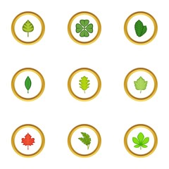 Summer leaves icons set, cartoon style