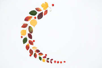 Autumn arrangement of leaves and red berries. Seasonal background for design