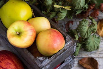 Apples in a box on the background of autumn leaves