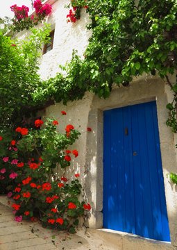 Blue door with flower vines in Kritsa village, Crete, Greece