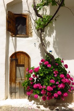 arched doorway in Kritsa village, Crete, Greece with blooming flower vine
