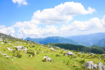 四国カルスト　五段高原の風景