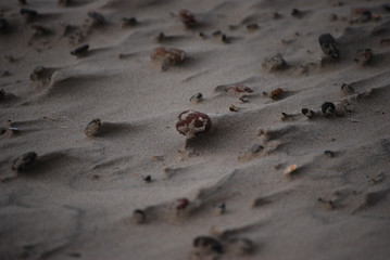 Wind blown sand and stones