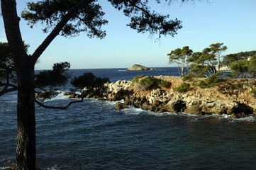 Obraz premium Mediterranean landscape in Bandol, France