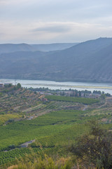 The river Ebro on its way through Mequinenza, Aragon