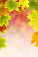 Obraz premium Herbst 26