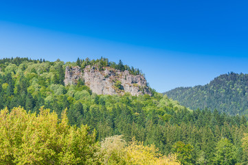 Fototapeta na wymiar Early autumn colors in the Carpathian mountains.