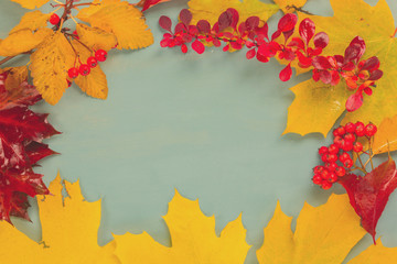 Fall yellow maple leaves and red berries frame on blue background, retro toned