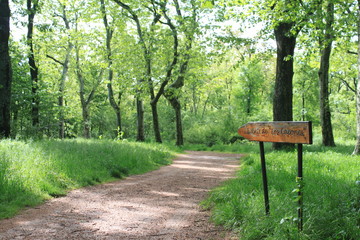 camino