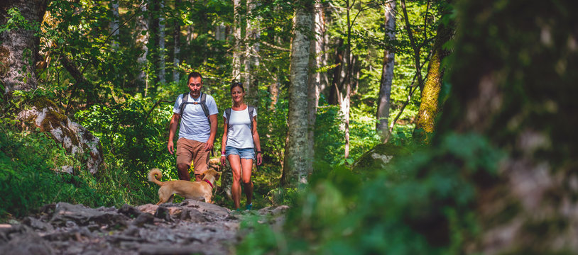 Couple With A Dog Hiking In Forest