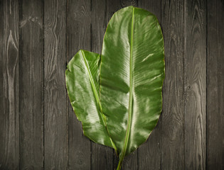 Green banana leaves on wooden background